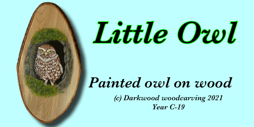 Little Owl Painting on wood Numbered and signed very cool prints wildlife Tall Ships Military Kandahar Prints